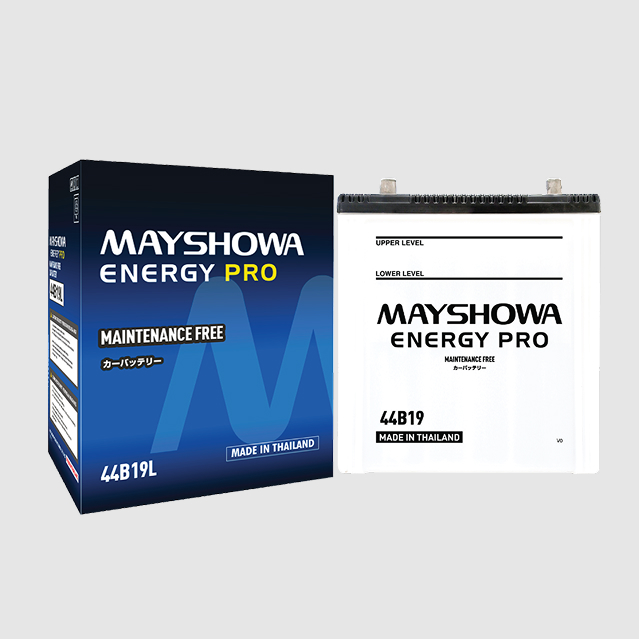 MAINTENANCE FREE BATTERY