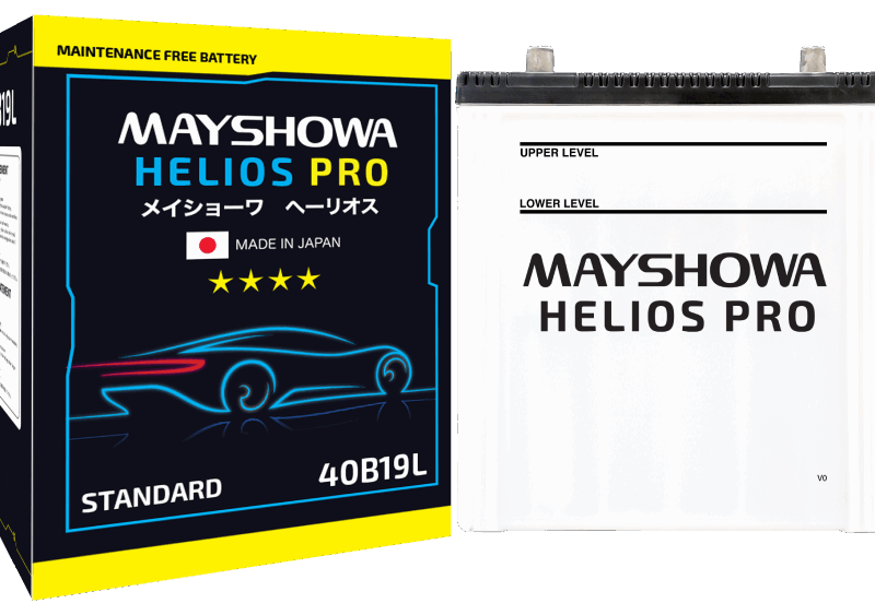 Maintenance Free Battery